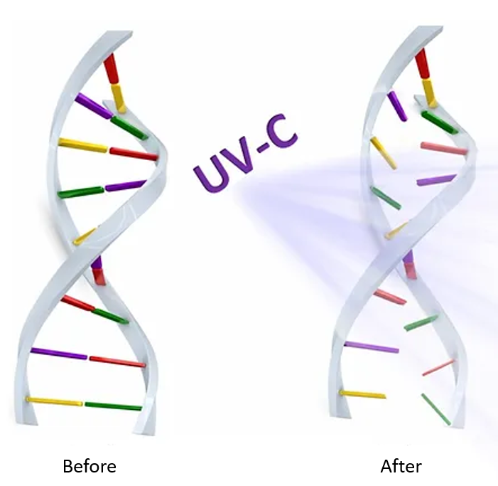 Damaged RNA